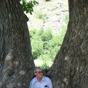  ,   Ishxan, 78 ,   