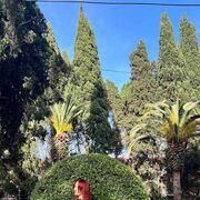  ,   , 36 ,   c 