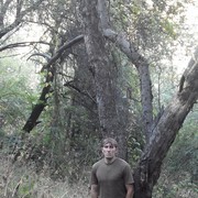 ,    , 37 ,   ,   , c 