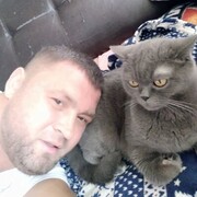  ,   , 43 ,   ,   , c 