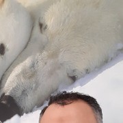  ,   , 47 ,  