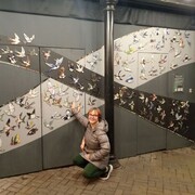 ���������� �����-���������, ���� ������� ����, 31 ���, ������������ ��� ����� � ���������, ���������