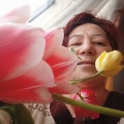 ���� ������ ���