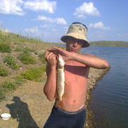 ���������� �����������, ���� ������� �������, 38 ���, ������������ ��� ������, ����� � ���������, c�������� ���������