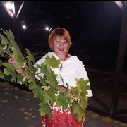  ,   , 56 ,   ,   