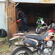 ���������� �����-���������, ���� ������� Djylietta, 35 ���, ������������ ��� ���������