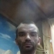  ,  , 41