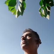  --,   , 62 ,   ,   , c 
