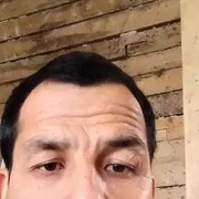 ���������� ������, ���� ������� ���, 48 ���, ������������ ��� ������, ����� � ���������