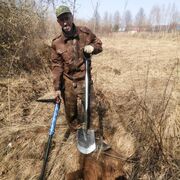 ���������� ��������, ���� ������� ������, 46 ���, ������������ ��� ����� � ���������, c�������� ���������, ���������