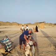 ���������� ��������, ���� ������� �������, 48 ���, ������������ ��� ������, ����� � ���������, c�������� ���������