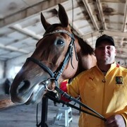 ���������� ����, ���� ������� ����, 39 ���, ������������ ��� ����� � ���������