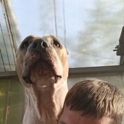 ���������� �����������, ���� ������� �������, 41 ���, ������������ ��� ������, ����� � ���������