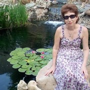  --,   , 65 ,  