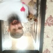  ,   , 45 ,   ,   , 