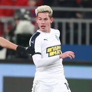 ���������� ������, ���� ������� David������, 31 ���, ������������ ��� ������, ����� � ���������, c�������� ���������, ���������