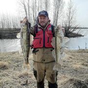 ,   , 50 ,   c 