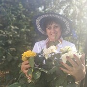  -,   , 55 ,     , c 