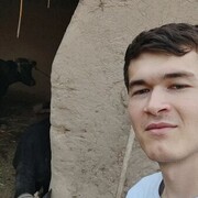 ���������� ������, ���� ����� Bek, 22 ����, ������������ ��� ������, ����� � ���������