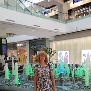 ���������� ����, ���� ������� �������, 49 ���, ������������ ��� ������, ����� � ���������, c�������� ���������