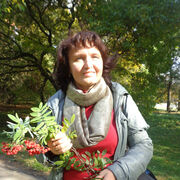 ���������� ������, ���� ������� �������, 53 ����, ������������ ��� ������, ����� � ���������, c�������� ���������