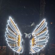 ���������� �����, ���� ������� �����, 39 ���, ������������ ��� c�������� ���������