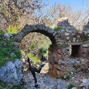 ���������� ������, ���� ������� ���������, 37 ���, ������������ ��� ������, ����� � ���������, c�������� ���������