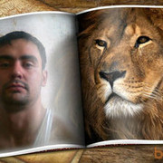  ,   , 38 ,   