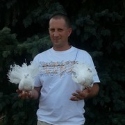 ���������� �������, ���� ������� Sapa, 47 ���, ������������ ��� ����� � ���������, c�������� ���������