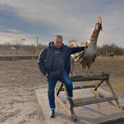  ,   , 51 ,   