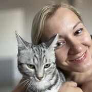 ���������� ���������, ���� ������� ����, 38 ���, ������������ ��� ������, ����� � ���������, c�������� ���������, ���������