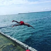 ���������� ������, ���� ������� Sleepy, 31 ���, ������������ ��� ������, ����� � ���������, c�������� ���������, ���������