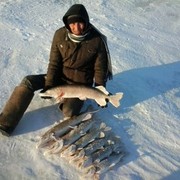 ���������� ������, ���� ������� ������, 43 ����, ������������ ��� ������