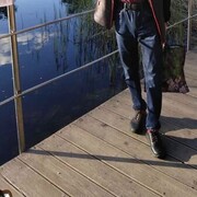   ,   , 48 ,  
