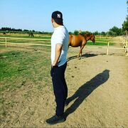 ���������� ����, ���� ������� Miran, 41 ���, ������������ ��� ������, ����� � ���������