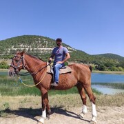 ���������� �����������, ���� ������� ����, 43 ����, ������������ ��� ������, ����� � ���������, c�������� ���������, ���������