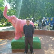  ,   ˸, 46 ,   ,   