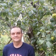   ,   , 49 ,   