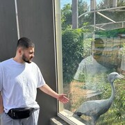 ���������� ������, ���� ������� ���, 30 ���, ������������ ��� ������, ����� � ���������, c�������� ���������, ���������