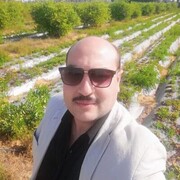 ���������� �����-���������, ���� ������� Amr, 44 ����, ������������ ��� ������, ����� � ���������