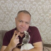 ���������� �����������, ���� ������� ���������, 47 ���, ������������ ��� ������, ����� � ���������