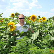 ���������� ����, ���� ������� ����, 44 ����, ������������ ��� ������, ����� � ���������, c�������� ���������