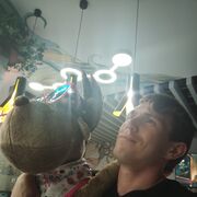  ,   , 34 ,   ,   , c 