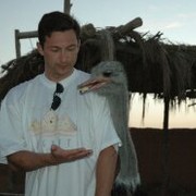 ���������� ������, ���� ������� ����������, 41 ���, ������������ ��� ������, ����� � ���������, c�������� ���������