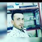  Ardmore,   Serwan, 32 ,   ,   
