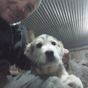 ���������� �����, ���� ������� ������, 58 ���, ������������ ��� ������, ����� � ���������, ���������