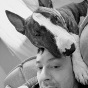 ���������� ������, ���� ������� ����, 44 ����, ������������ ��� ������, ����� � ���������, ���������