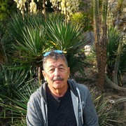  ,   , 73 ,   ,   , c 