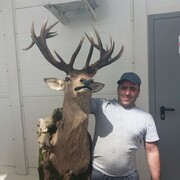  ,   , 58 ,   ,   