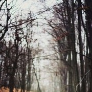  ,  Ati, 38